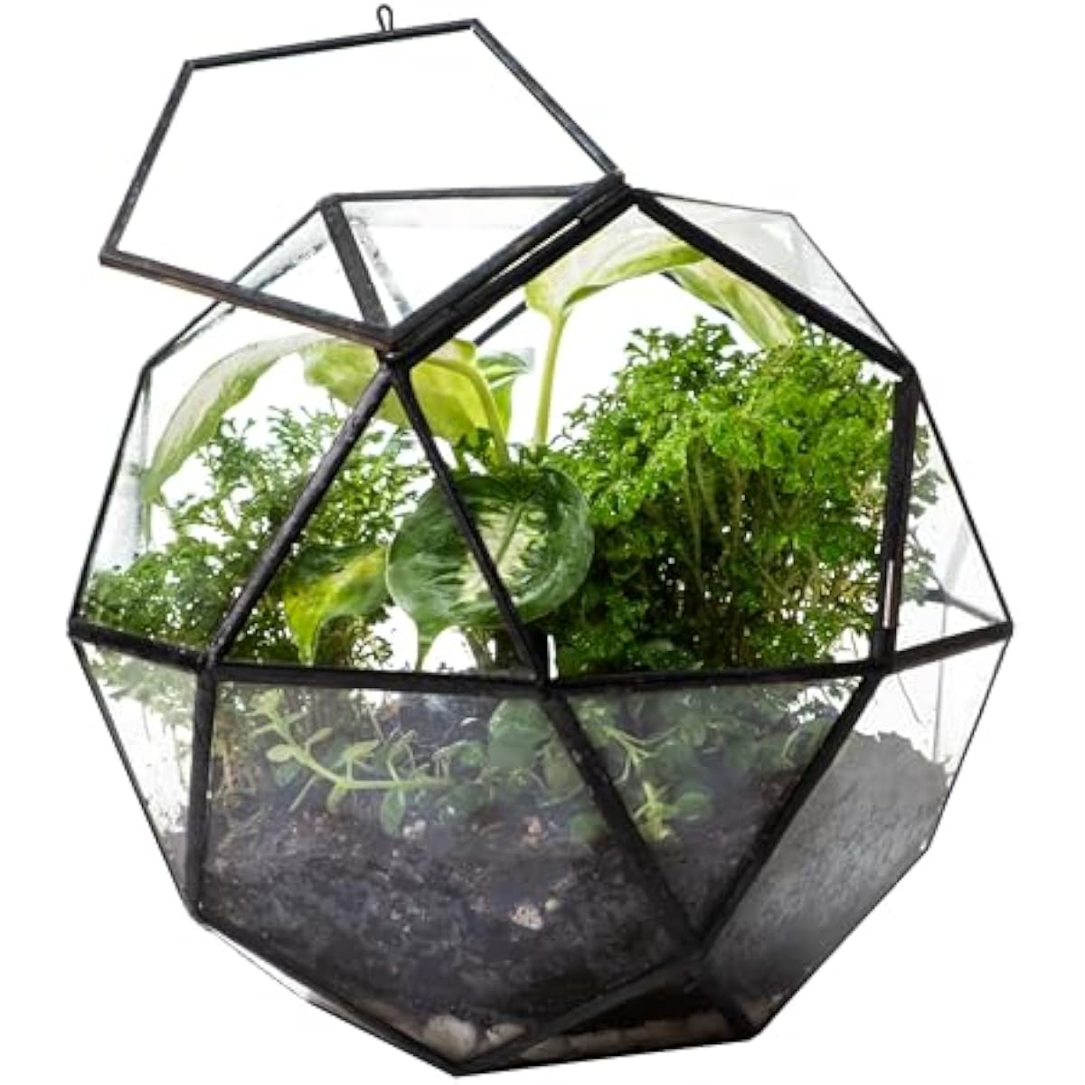Geometric Sphere Terrarium wit - огляд і ціна Glass Door Hinge