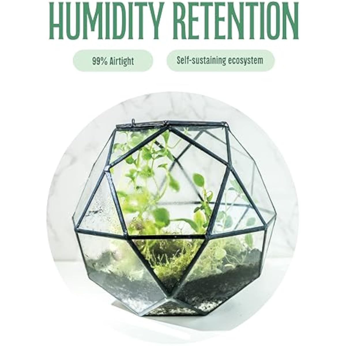 Geometric Sphere Terrarium wit - огляд і ціна Glass Door Hinge