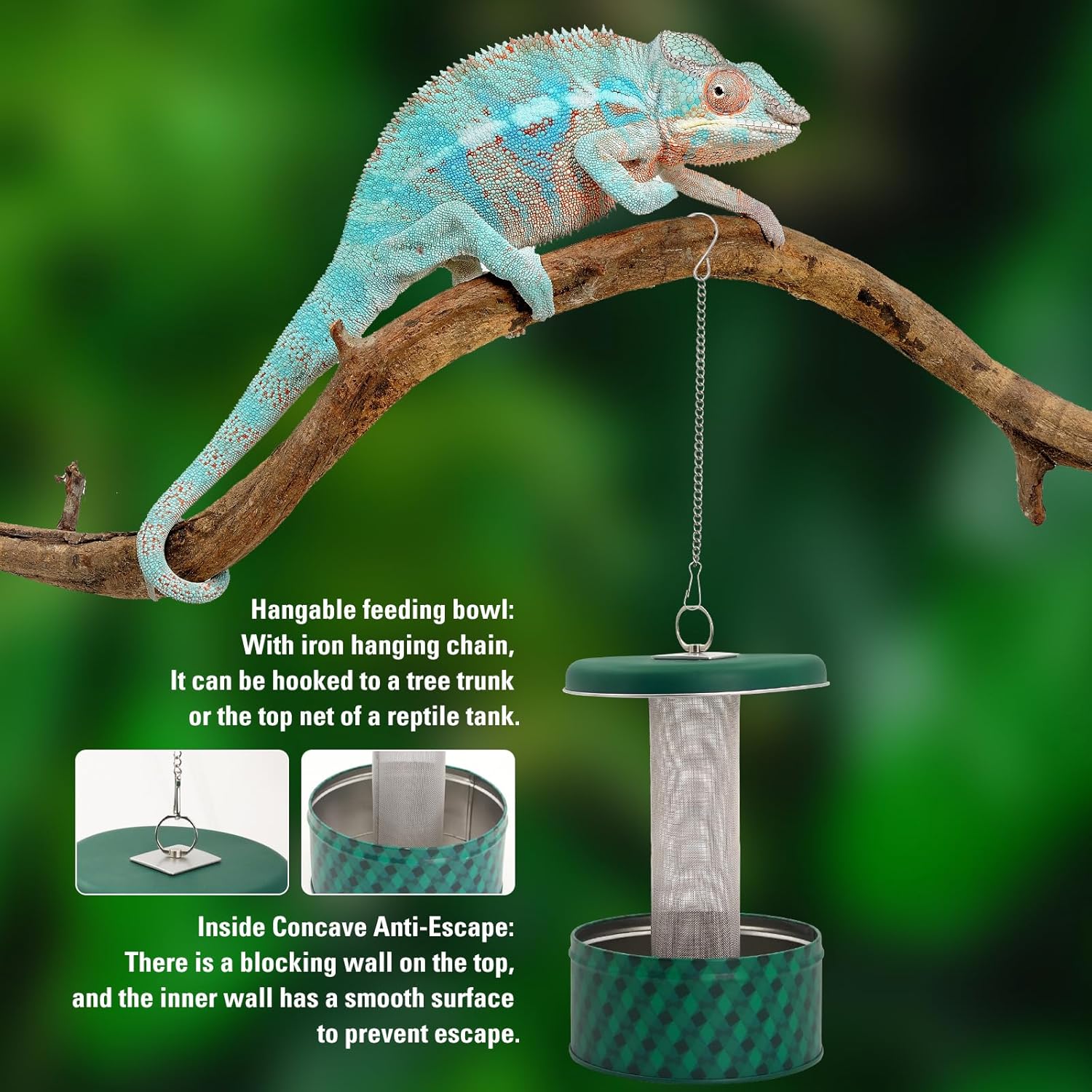 Bearded Dragon Feeder Chameleo - огляд і ціна Water Dish Reptile